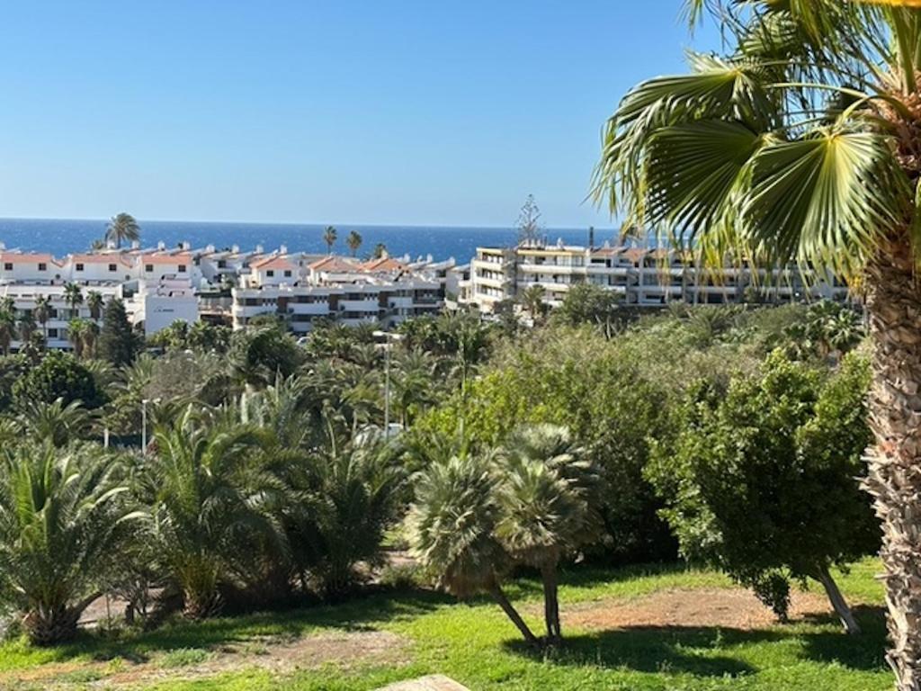 Vista Roja San Agustin (Gran Canaria)